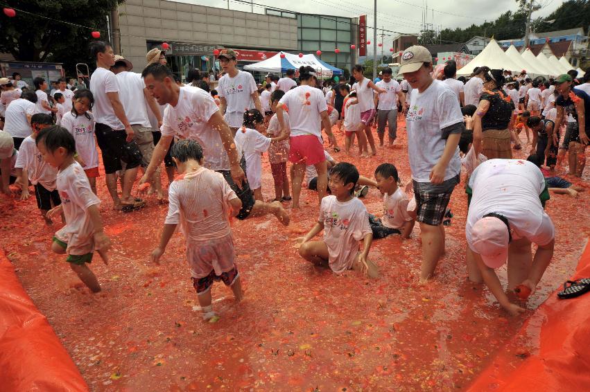 2009 토마토축제 각종체험 의 사진