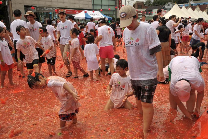 2009 토마토축제 각종체험 의 사진