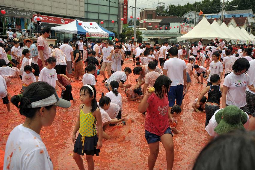 2009 토마토축제 각종체험 의 사진