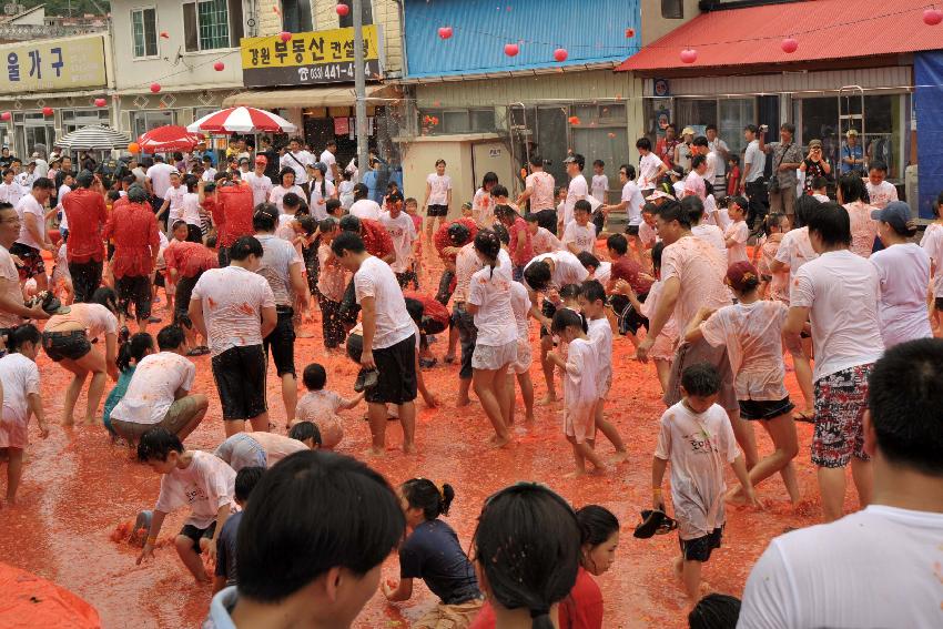 2009 토마토축제 각종체험 의 사진