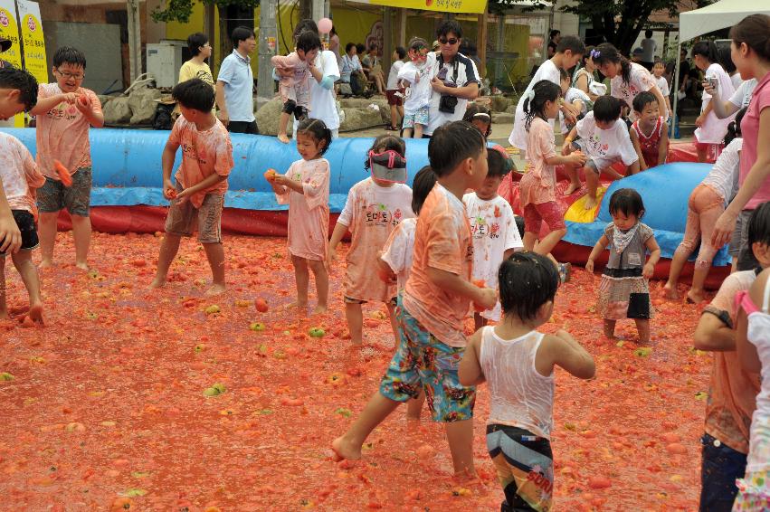 2009 토마토축제 각종체험 의 사진