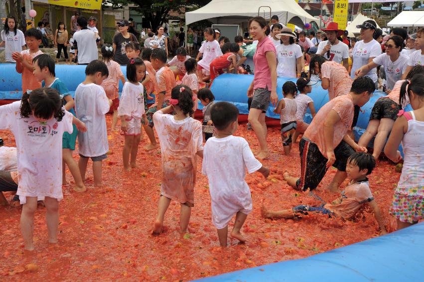 2009 토마토축제 각종체험 의 사진