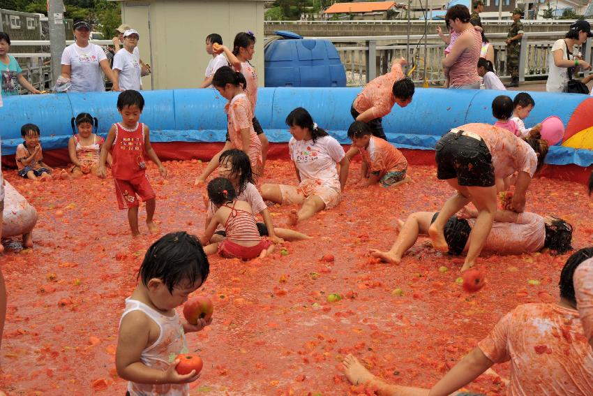 2009 토마토축제 각종체험 의 사진