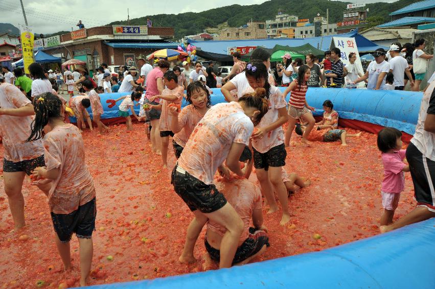 2009 토마토축제 각종체험 의 사진