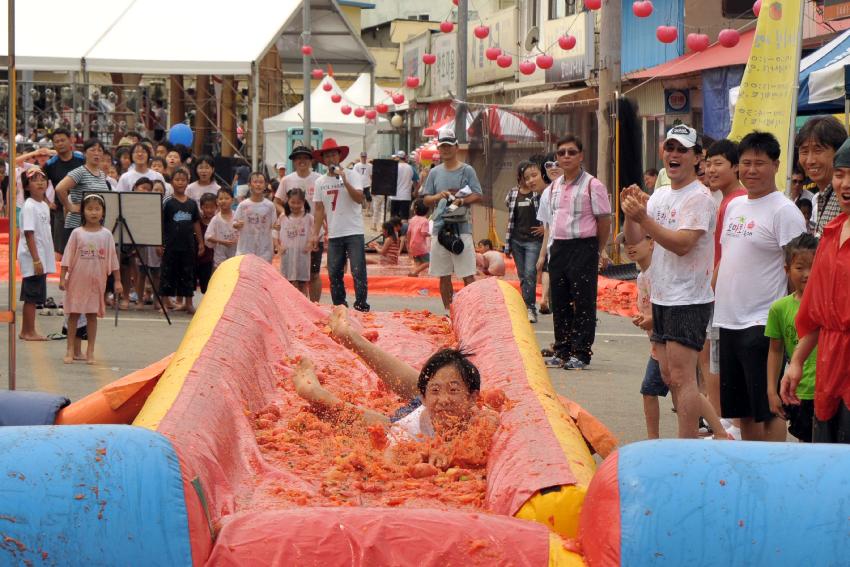 2009 토마토축제 각종체험 의 사진