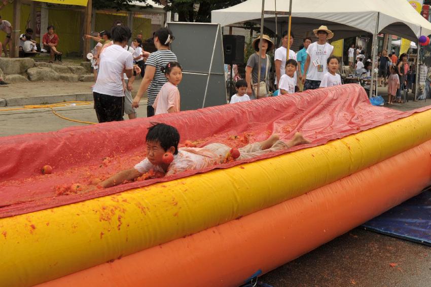 2009 토마토축제 각종체험 의 사진