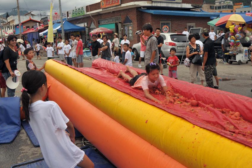 2009 토마토축제 각종체험 의 사진