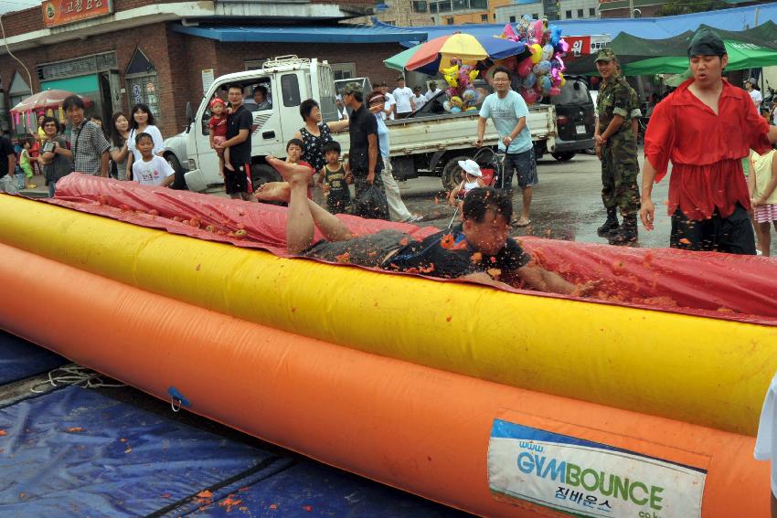 2009 토마토축제 각종체험 의 사진