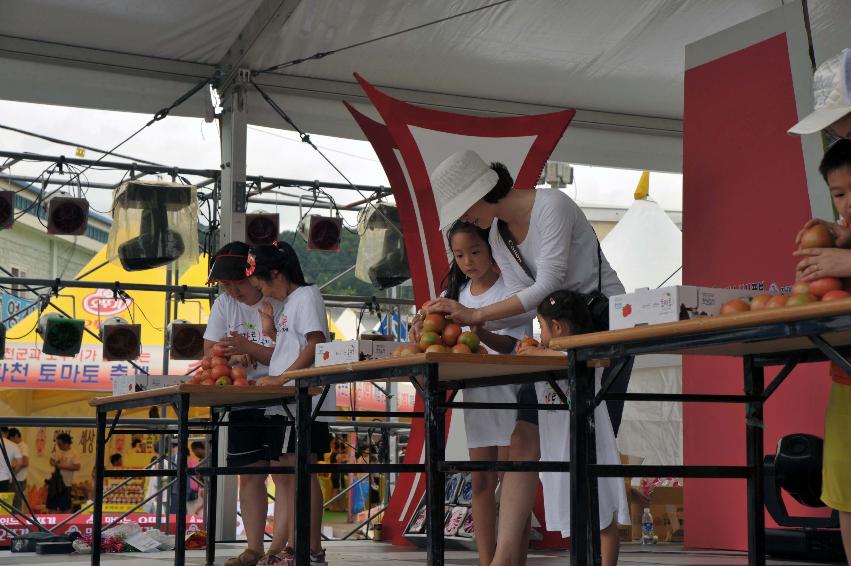 2009 토마토축제 각종체험 의 사진