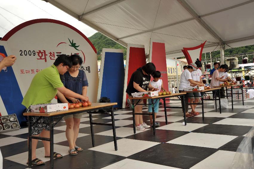 2009 토마토축제 각종체험 의 사진