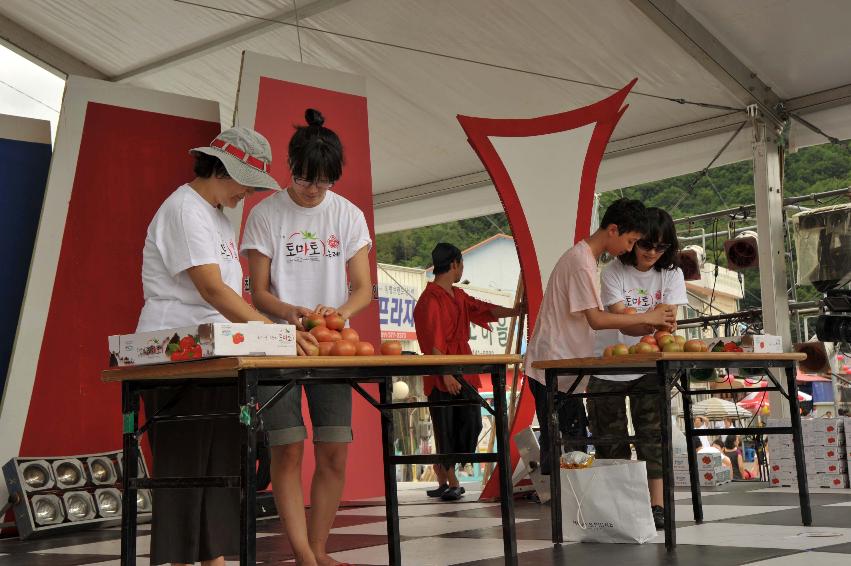 2009 토마토축제 각종체험 의 사진