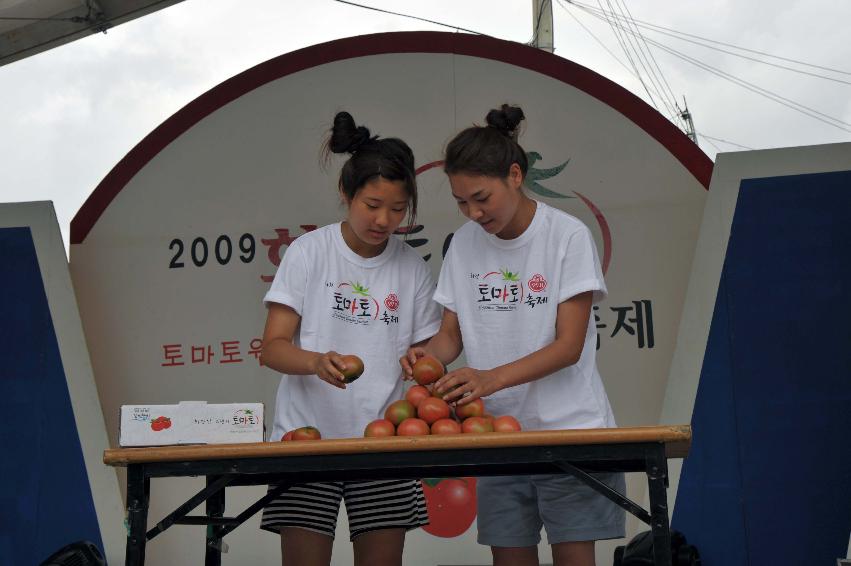 2009 토마토축제 각종체험 의 사진