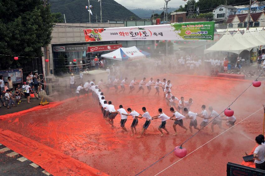 2009 토마토축제 각종체험 의 사진