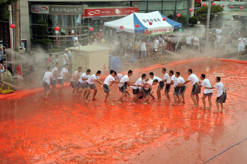 2009 토마토축제 각종체험 의 사진