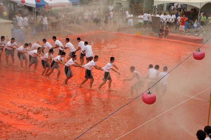 2009 토마토축제 각종체험 의 사진