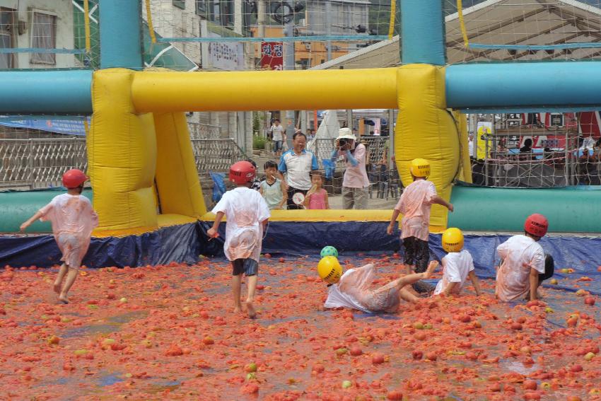 2009 토마토축제 각종체험 의 사진