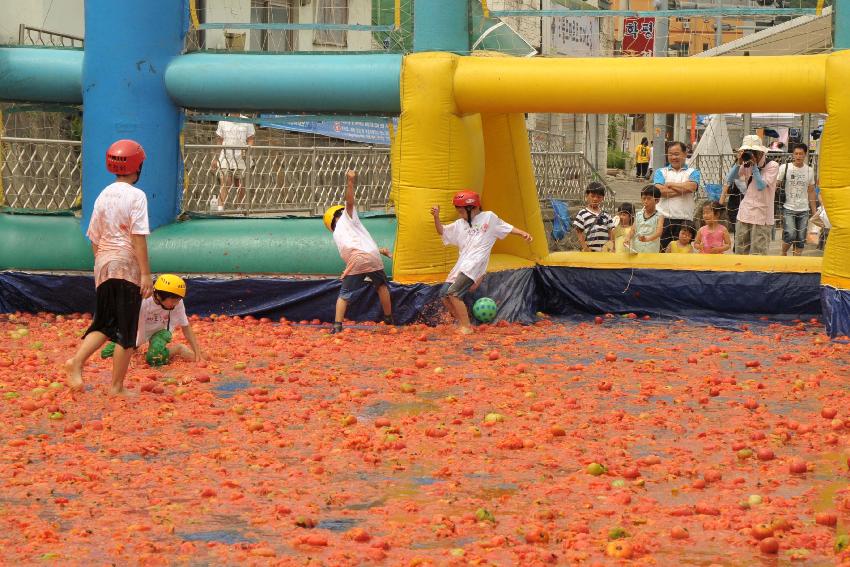 2009 토마토축제 각종체험 의 사진