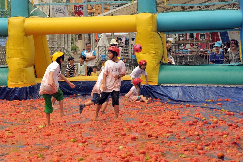 2009 토마토축제 각종체험 의 사진