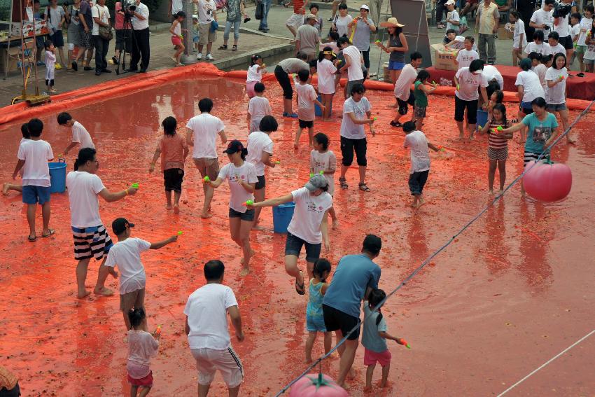 2009 토마토축제 각종체험 의 사진