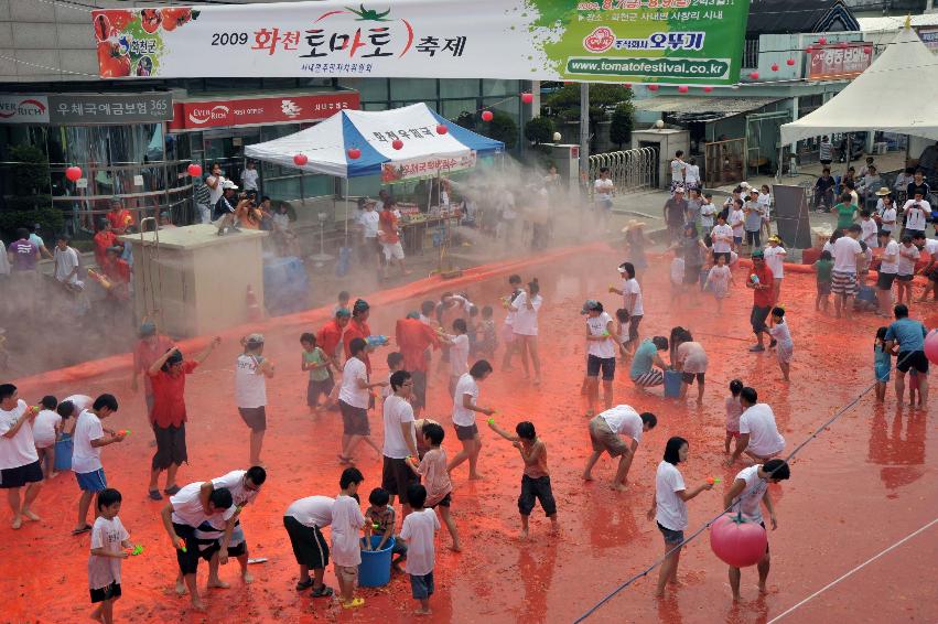 2009 토마토축제 각종체험 의 사진