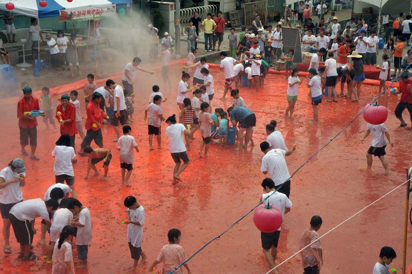 2009 토마토축제 각종체험 의 사진