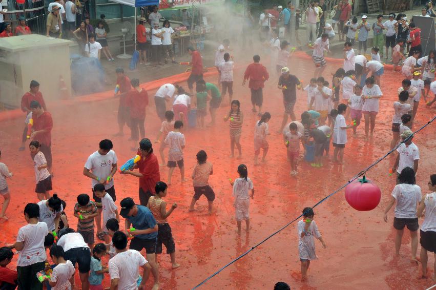 2009 토마토축제 각종체험 의 사진