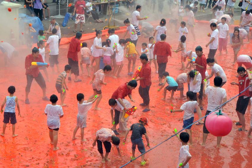 2009 토마토축제 각종체험 의 사진