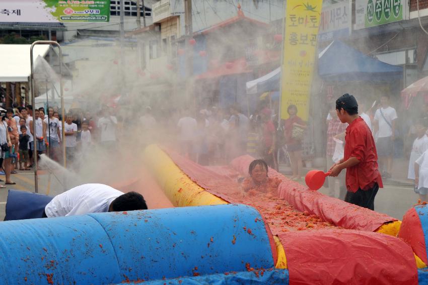 2009 토마토축제 각종체험 의 사진