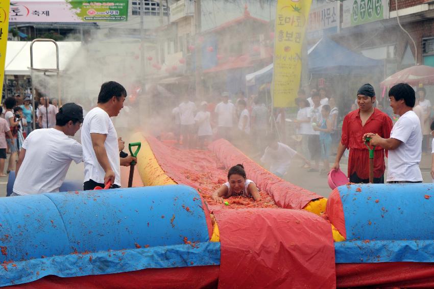 2009 토마토축제 각종체험 의 사진