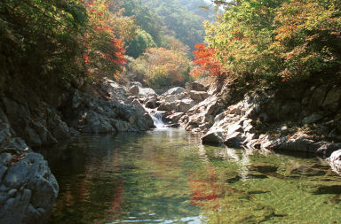 비수구미계곡 사진