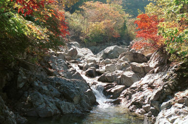 비수구미계곡 의 사진