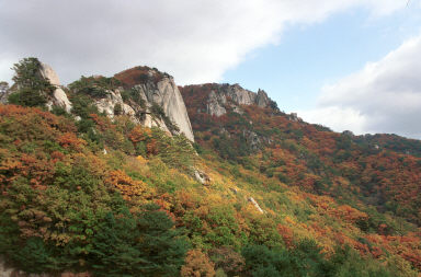 용화산 사진