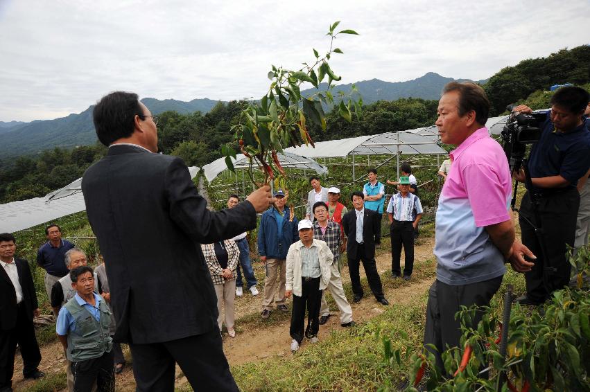 2009 유기고추생산단지 비가림덕시설 평가회 의 사진