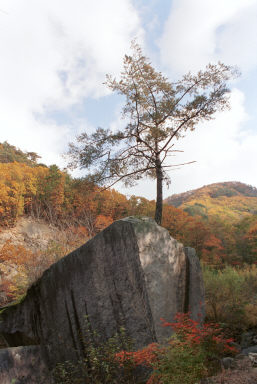 용화산 의 사진