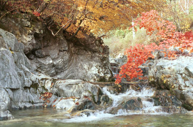 만산동 계곡 의 사진