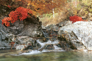 만산동 계곡 의 사진