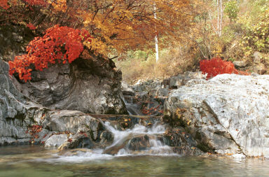 만산동 계곡 사진