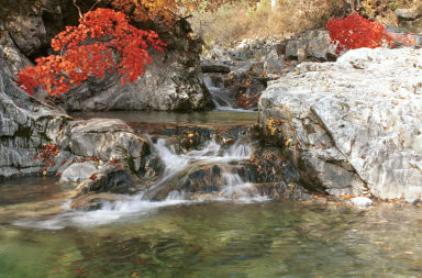 만산동 계곡 의 사진