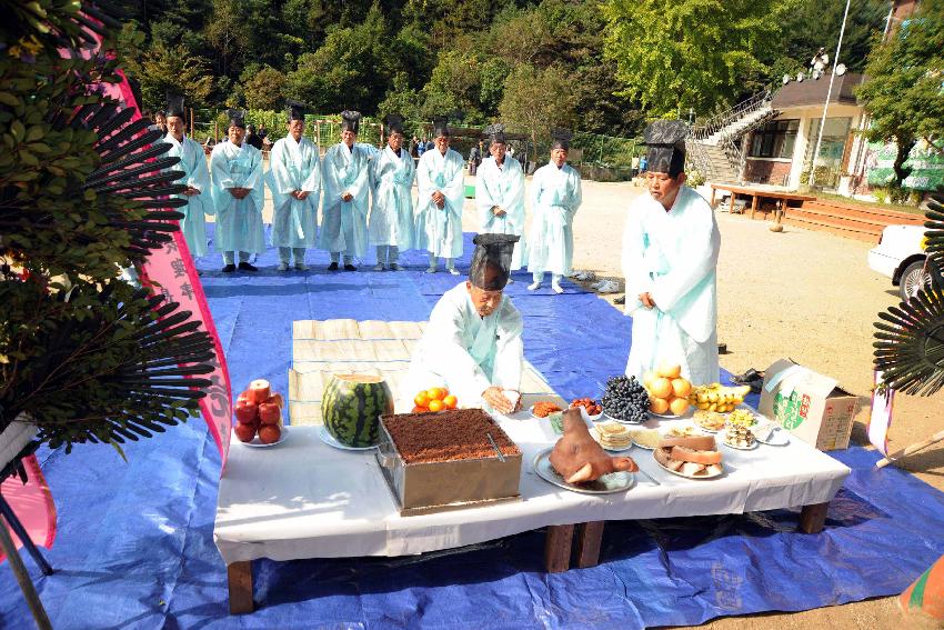 제4회 호랑이축제 의 사진