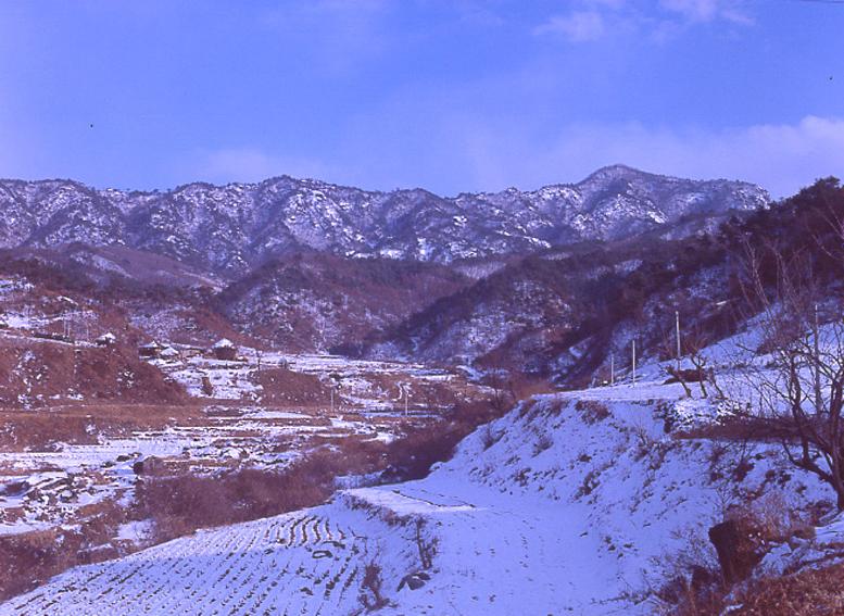 삼화리 의 사진