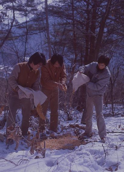 겨울철 야생동물 먹이 의 사진