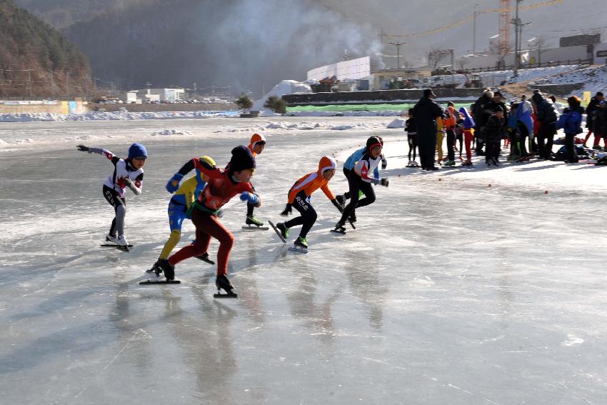 제18회 강원도교육감기 빙상대회 사진