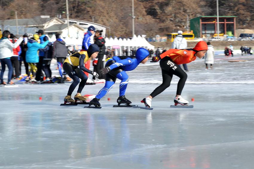 제18회 강원도교육감기 빙상대회 의 사진