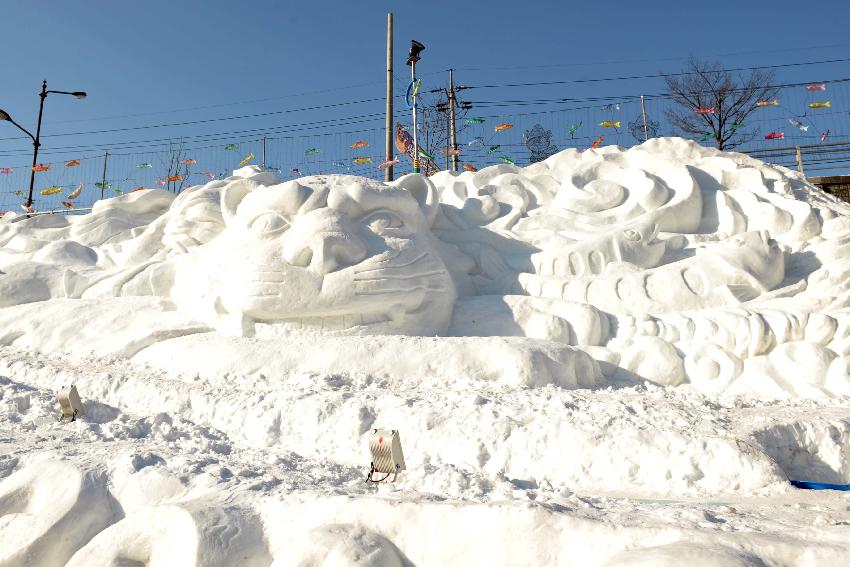2010산천어축제장 눈조각,얼곰이성 의 사진