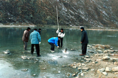 고기잡이 사진