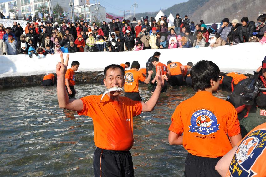2010산천어축제 산천어맨손잡기 의 사진