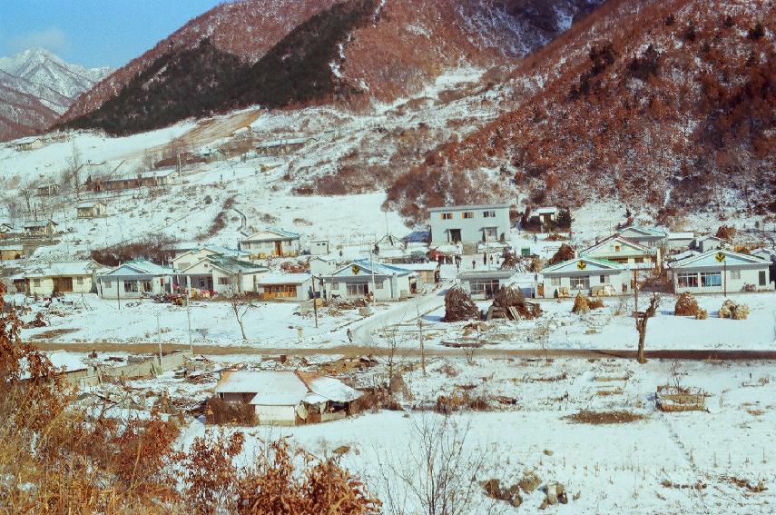 민통선 북방지구 주택개선공사 및 준공식 의 사진