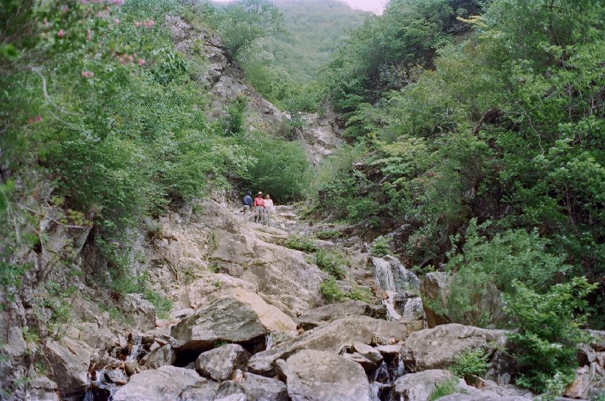 계곡,폭포 전경 의 사진