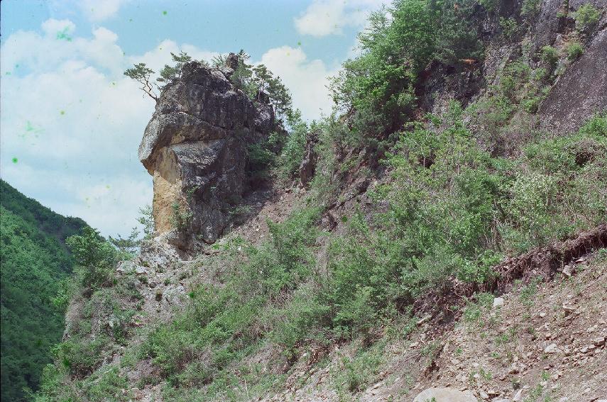 계곡,폭포 전경 의 사진