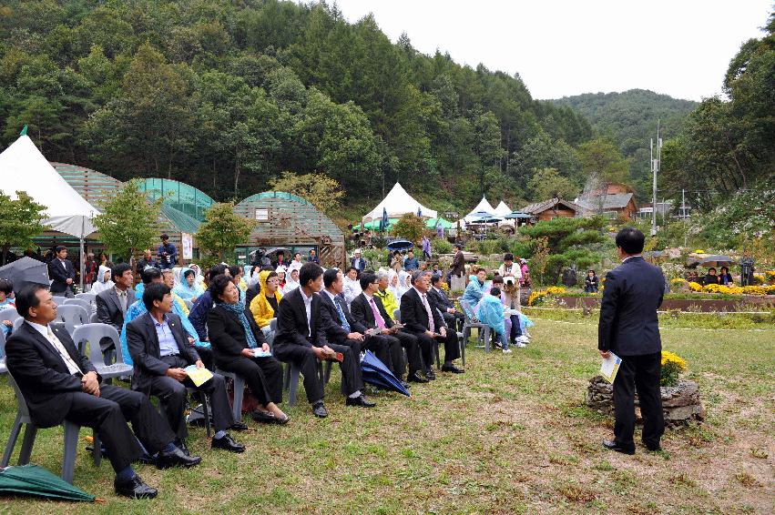 동구래마을 들꽃마당전 개막식 의 사진